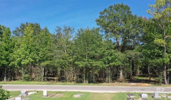 Lot 1A Harris Street, Atmore, AL 36502