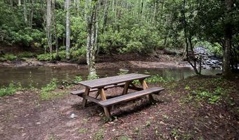 Tdb Cove Creek Rd, Bastian, VA 24314
