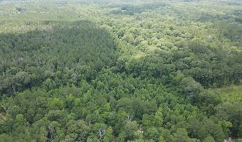 399 Wakefield Ln, Brookhaven, MS 39601