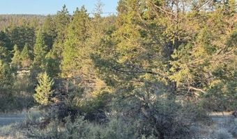 Brant Drive, Bonanza, OR 97623