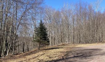 L22.2 Alder Pond Road, Andes, NY 13740