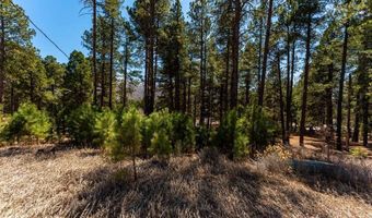 113 Pine Dr, Bayfield, CO 81122