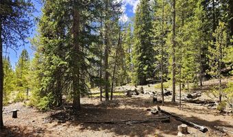 PCS # 10594 Looney Lane lot 0, Alma, CO 80420