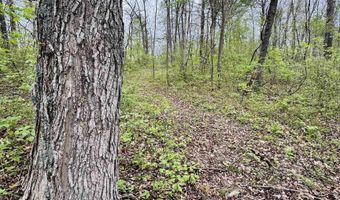 Tract 2 E Pine Road Common, Bloomfield, IN 47424