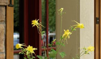 111 S Sixth Street St, Aspen, CO 81611