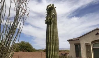 596 E Via Puente De La Lluvia, Sahuarita, AZ 85629