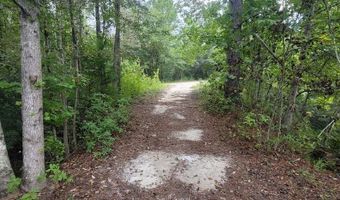 00 Coot Adams Rd, Ashford, AL 36312