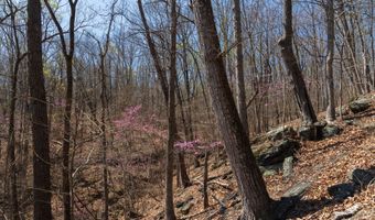 Soapstone Road, Baldwin, GA 30511