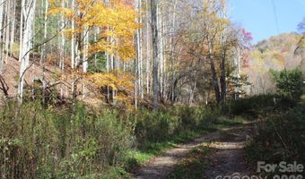 44 Toms Creek Rd, Bakersville, NC 28705