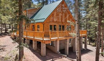 6 County Rd 2042, Alpine, AZ 85920