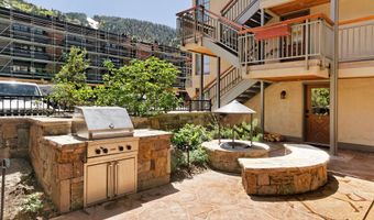 630 E Cooper Ave 1, Aspen, CO 81611