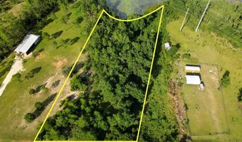 Mcduff Drive, Alford, FL 32420