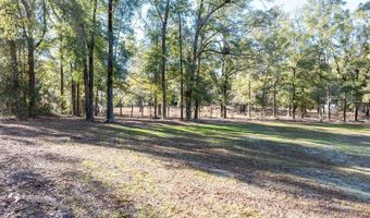 1809 Rosemary Cir, Bell, FL 32619