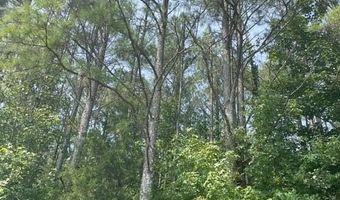 County Road 6381, Baldwyn, MS 38824