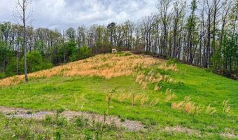 2789 Dry Fork Rd, Bandy, VA 24602