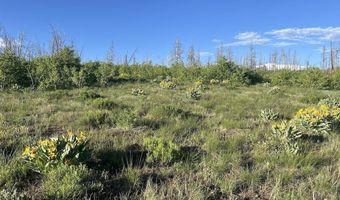 Tbd VISTA RIDGE LANE, Bondurant, WY 82922