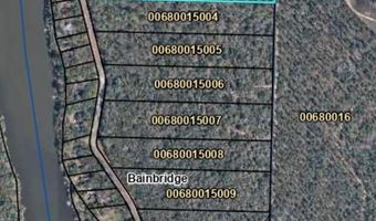 514 543 Tract 3 Rivervale Dr, Bainbridge, GA 39817