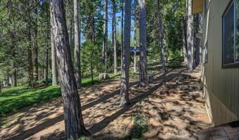 2232 Silver Dr, Arnold, CA 95223