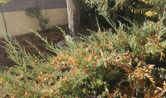 8805 Yankee Dr NE, Albuquerque, NM 87109