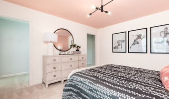 269 Williams Grove Ln, Apex, NC 27523
