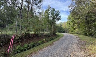 741 SE Hughs Hill Ln, Brookhaven, MS 39601
