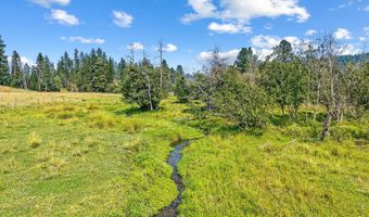 2228 BLUE CREEK Rd, Addy, WA 99101