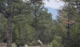 Lobo Ranch Road, Arroyo Hondo, NM 87513