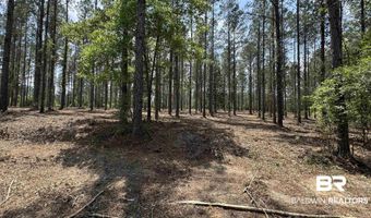 Ronald Sanks Road, Bay Minette, AL 36507