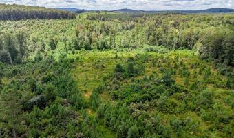 62- Acres Grandmas Hill Rd, Amherst, VA 24521
