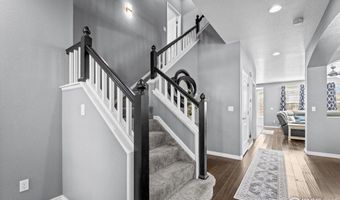 338 Mt Wilson St, Brighton, CO 80601