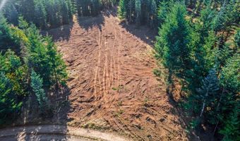 NW Lodge Rd, Banks, OR 97106