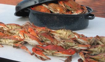 637 CHASE St, Annapolis, MD 21401