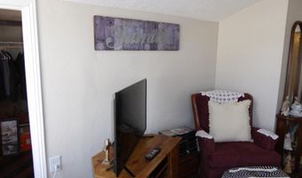 337 Ogden Ave, Ely, NV 89301