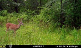 East Highway 3, Atoka, OK 74525
