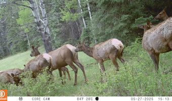 15098 CR 240, Bayfield, CO 81122