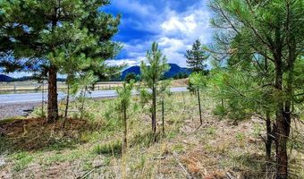 8 N COUNTY ROAD N2062 008, Alpine, AZ 85920