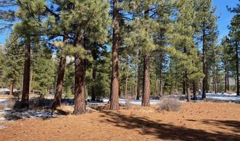 238 Redding Way Lot 238, Carson City, NV 89705