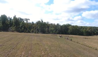 County Road 113, Alton, MO 65606