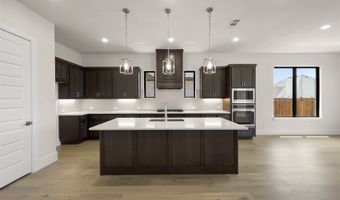 317 Fire Blade Dr, Aledo, TX 76008