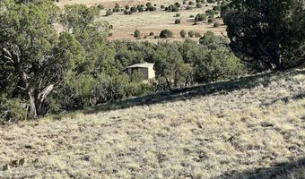006 N8604, Concho, AZ 85924
