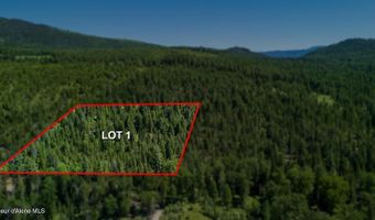 Kreiger Creek Rd, Careywood, ID 83809