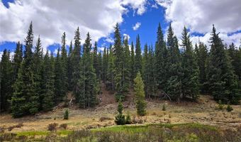 PCS # 10594 Looney Lane lot 0, Alma, CO 80420