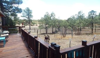 118 Eagle Ridge Rd, Alto, NM 88312