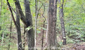 Jesse Run Rd, Arnoldsburg, WV 25234