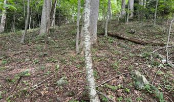 Tbd Boulder Gardens Road, Banner Elk, NC 28604