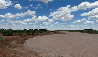 SE CR 2870, Andrews, TX 79714