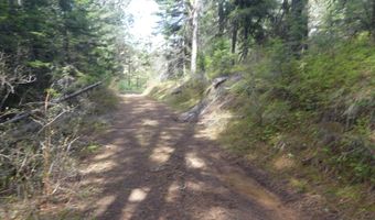 002 Hansen Ridge Rd, Anatone, WA 99401