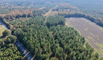 TBD Binnicker Bridge Road, Bamberg, SC 29003