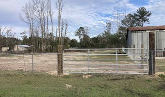 TBD NE Chester Street, Hosford, FL 32334