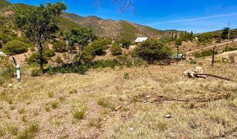 0 65 Acres Moon Cyn 95-104, Bisbee, AZ 85603